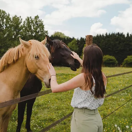 Parcel Tiny House I Elevage Du Puits Carre *