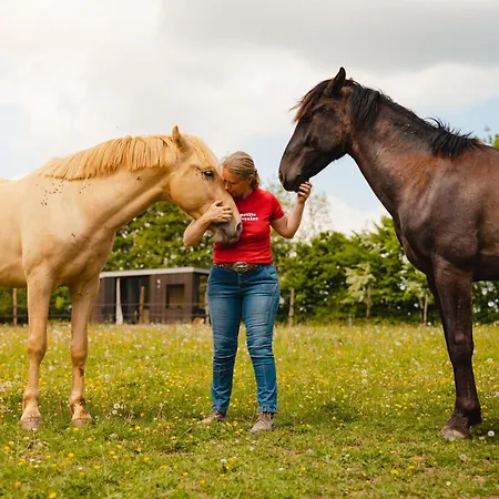 Parcel Tiny House I Elevage Du Puits Carre Holiday home *