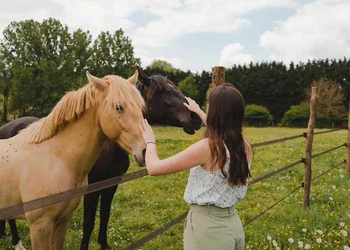 Parcel Tiny House I Elevage Du Puits Carré *
