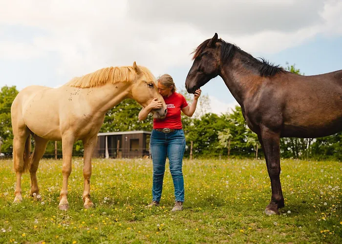 Parcel Tiny House I Elevage Du Puits Carré Сasa de vacaciones *