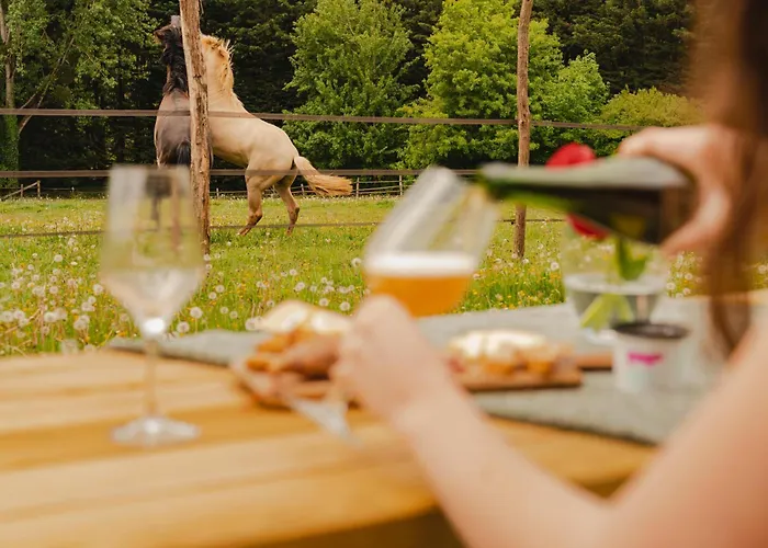 Сasa de vacaciones Parcel Tiny House I Elevage Du Puits Carré Dame-Marie (Orne)